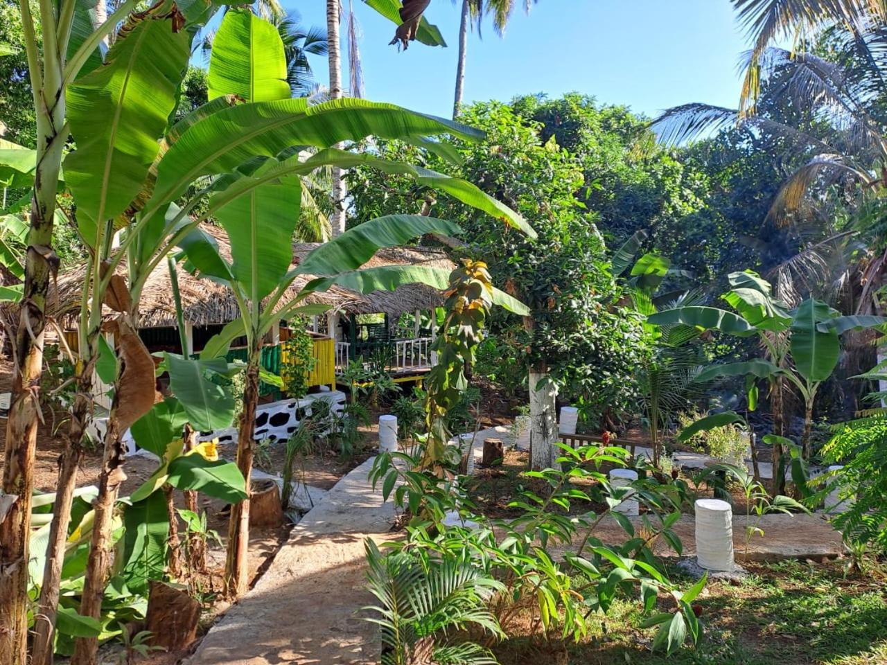 Le Chissioua Hotel Sada Buitenkant foto